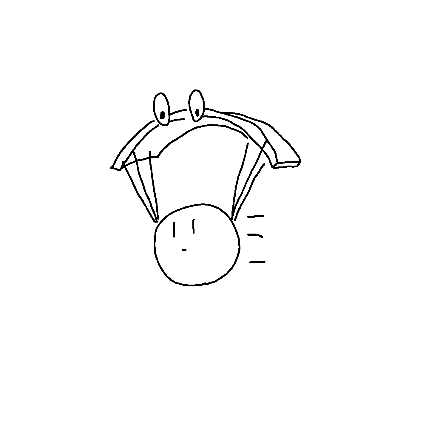paraglider